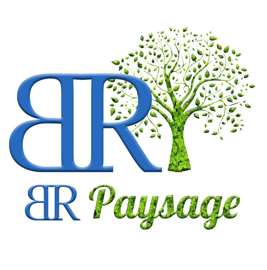 Logo de l'entrerise BR Paysage, composé d'un B inversé suivi d'un R, tous deux bleux et joint avec derrière eux un arbre vert fait de feuilles. En dessous se retrouvent le B inversé et le R Bleu suivi du mot paysage en vert, fait des mêmes feuilles que l'arbre